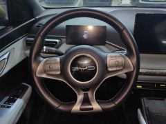 BYD Seagull 305km Free Version - ფოტო 18