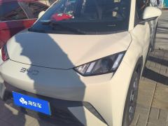 BYD Seagull 305km Free Version - ფოტო 1