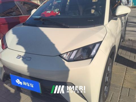 2025 BYD Seagull 305km Free Version - ავტომობილი ჩინეთიდან