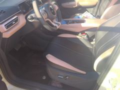 BYD Seagull 305km Free Version - ფოტო 14