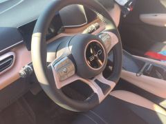 BYD Seagull 305km Free Version - ფოტო 18