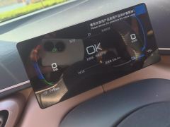 BYD Seagull 305km Free Version - ფოტო 20
