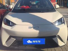 BYD Seagull 305km Free Version - ფოტო 3