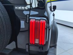 Tank 300 Off-Road Edition 2.0T Conqueror - photo 5