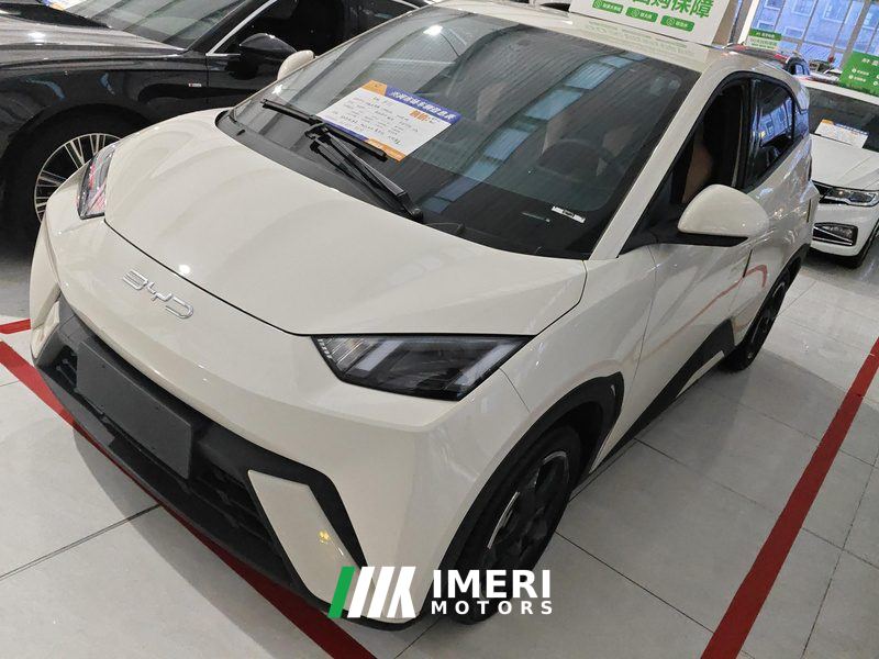 BYD Seagull 305km Vitality Edition - ავტომობილი ჩინეთიდან