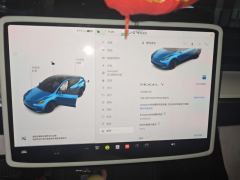 Tesla Model Y 545km Rear-Wheel Drive Edition - ფოტო 20