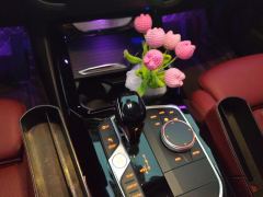 BMW X3 xDrive25i M Sport Package - photo 19