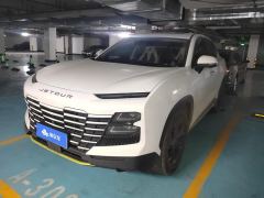 Jetour Jietu Dasheng 1.5T Young - photo 1