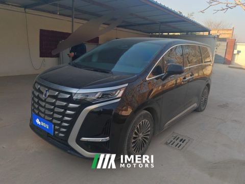 2022 Denza D9 DM-i 1040 Premium - car from China