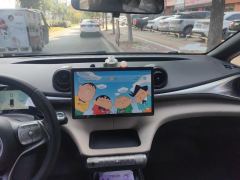 BYD Dolphin 420km Stylish Edition - photo 17