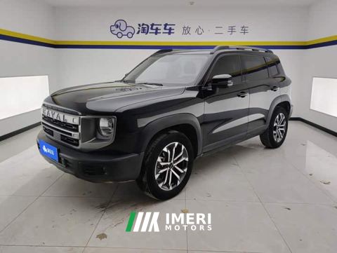 2024 Great Wall Dachshund 1.5T DCT Labrador Edition - ავტომობილი ჩინეთიდან