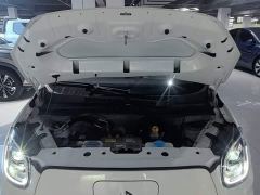 Leapmotor Leapo T03 310 Comfort Edition - photo 19