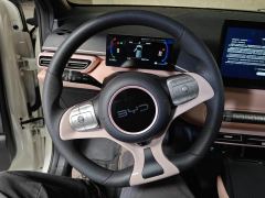 BYD Seagull 305km Vitality Edition - ფოტო 18