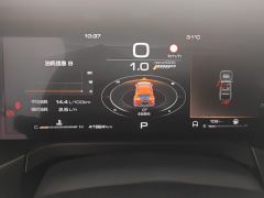 Tank 300 Off-Road Edition 2.0T Conqueror - ფოტო 20