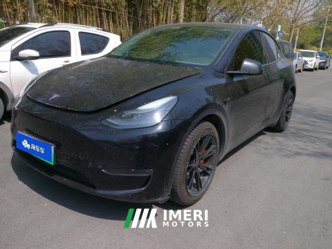 2021 Tesla Model Y Standard endurance rear-wheel drive - ავტომობილი ჩინეთიდან