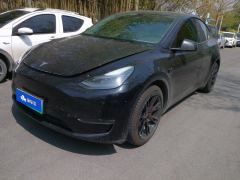 Tesla Model Y Standard endurance rear-wheel drive - ფოტო 3