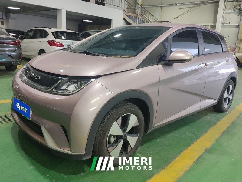 BYD Dolphin 420km Free Version - ავტომობილი ჩინეთიდან