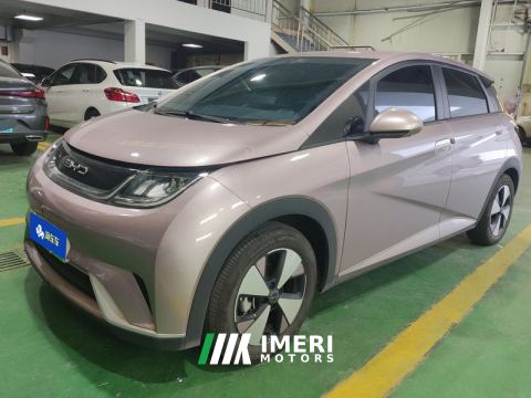 2023 BYD Dolphin 420km Free Version - ავტომობილი ჩინეთიდან