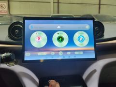 BYD Dolphin 420km Free Version - ფოტო 17