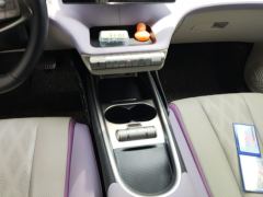BYD Dolphin 420km Free Version - ფოტო 19
