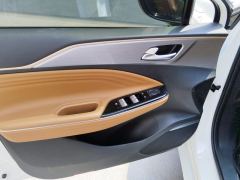 Aion S 480km CHA 580 55.5kWh - photo 12