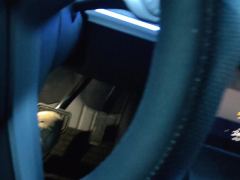 Tesla Model Y 554km Rear-Wheel Drive Edition - ფოტო 19