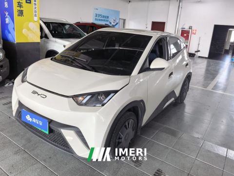 2023 BYD Seagull 305km Vitality Edition - ავტომობილი ჩინეთიდან