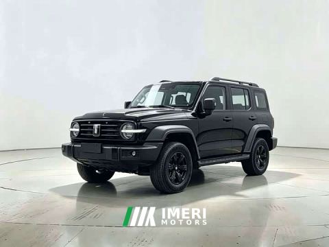 2024 Tank 300 2.0T Conqueror - car from China