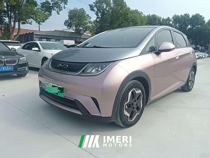BYD Dolphin 405km Fashion Edition - ავტომობილი ჩინეთიდან