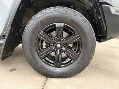 Tank 300 Off-Road Edition 2.0T Conqueror - photo 18