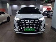 Denza D9 DM-i 1040 Premium - photo 2