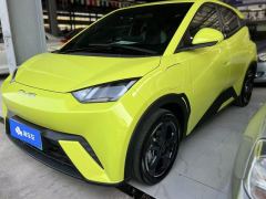 BYD Seagull 305km Free Version - photo 1