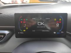 BYD Seagull 305km Free Version - photo 20