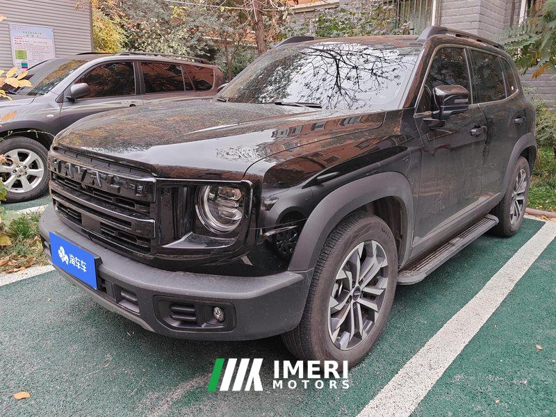 Haval Great Wall Big Dog Great Wall Dog 1.5T 2WD Edge Pastoral Edition - автомобиль из Китая