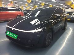 Tesla Model Y L Long Range All-Wheel Drive - ფოტო 1