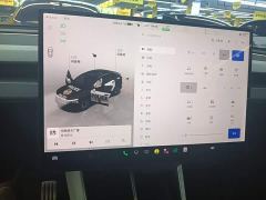 Tesla Model Y L Long Range All-Wheel Drive - ფოტო 12