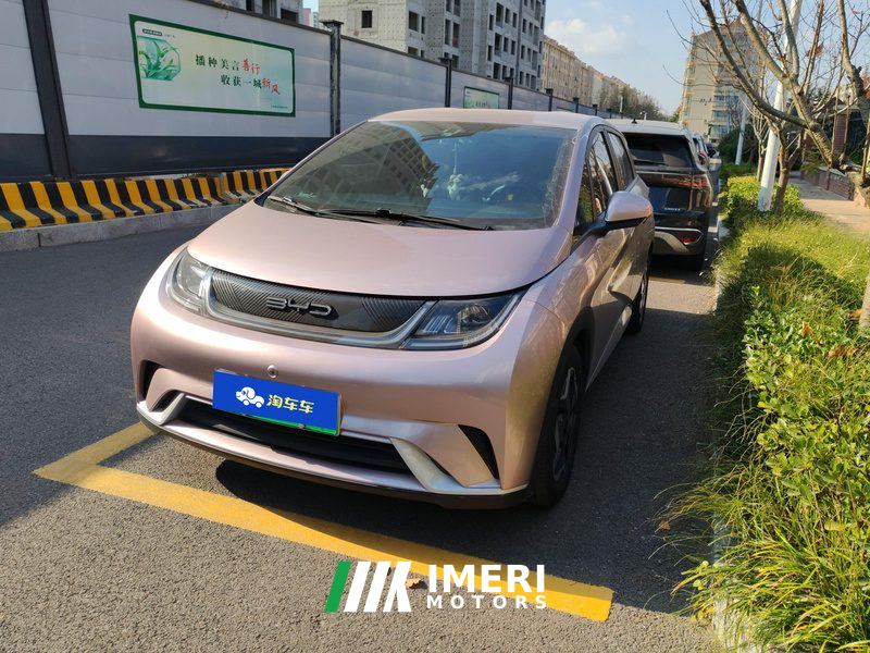 BYD Dolphin 405km Free Version - ავტომობილი ჩინეთიდან