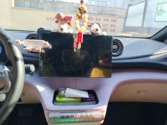 BYD Dolphin 405km Free Version - ფოტო 17