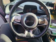 BYD Dolphin 405km Free Version - ფოტო 18