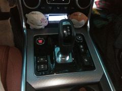 Jaguar XEL P250 Enterprising Sport Edition - ფოტო 19