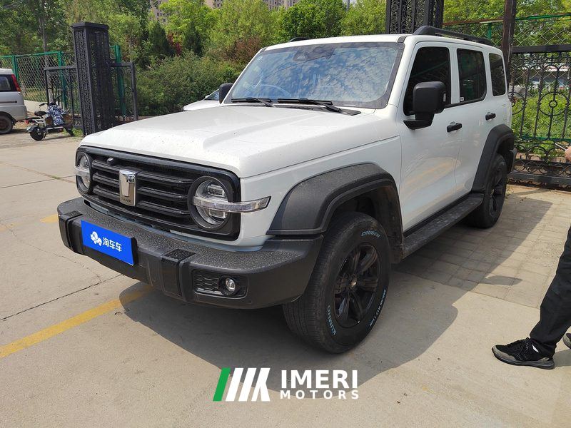 Tank 300 Off-Road Edition 2.0T Conqueror - car from China