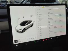 Tesla Model Y Standard endurance rear-wheel drive - ფოტო 14