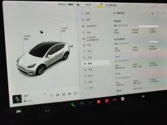 Tesla Model Y Standard endurance rear-wheel drive - ფოტო 15