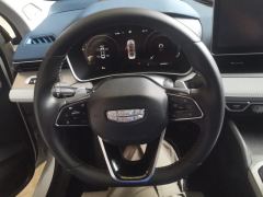 Geely Xingui Xingrui 2.0TD Prestigious Edition - фото 18