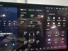Li Auto Li L8 Pro - фото 20