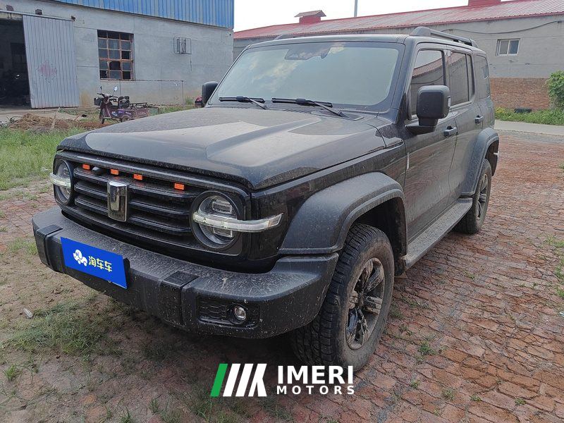 Tank 300 Off-Road Edition 2.0T Challenger - car from China