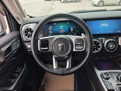 Tank 300 Off-Road Edition 2.0T Conqueror - ფოტო 10