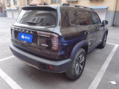 Haval Great Wall Big Dog Great Wall Dog 1.5T Two-wheel drive Labrador version - photo 2