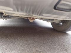Haval Great Wall Big Dog Great Wall Dog 1.5T Two-wheel drive Labrador version - photo 9