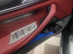 BMW 5 Series 530Li Luxury M Sport Package - ფოტო 13